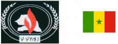 csdh